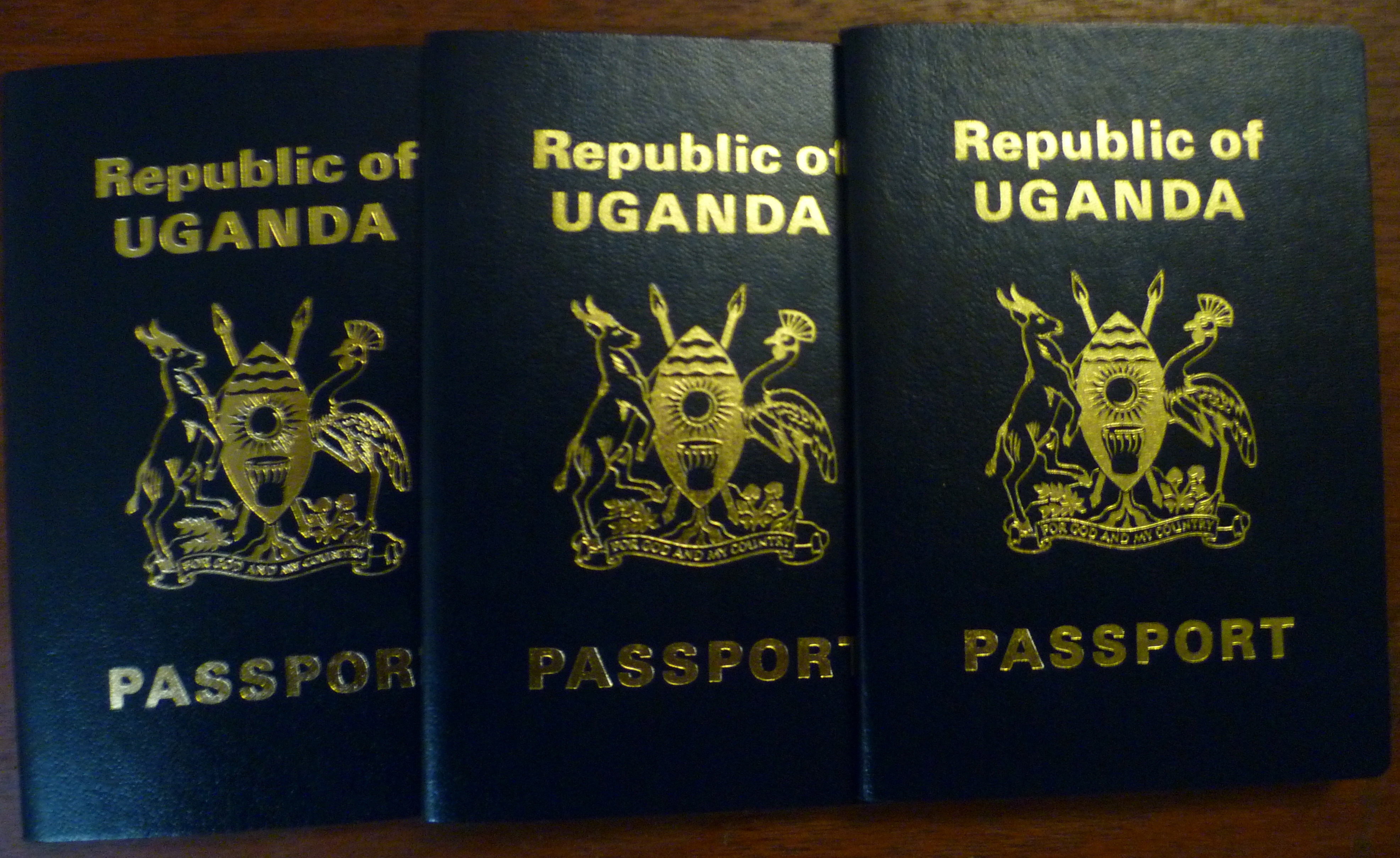 [Vietnam Visa Requirements 2024] Uganda Citizens Applying Vietnam Visa Need To Know | Visa Exemption, Visa Validity, Documents, Processing Time, Procedures, How To Apply