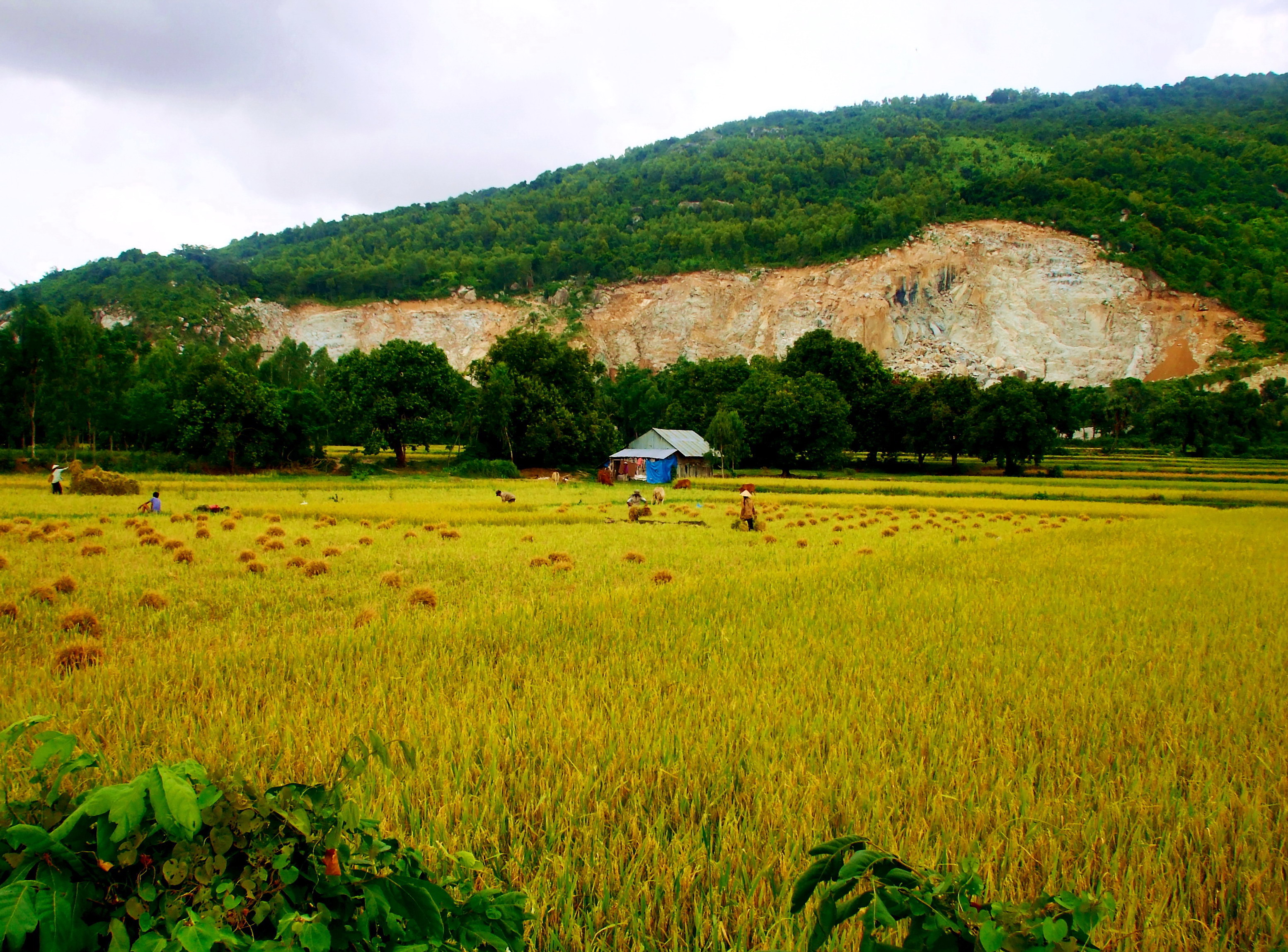 Co To Mountain in An Giang province