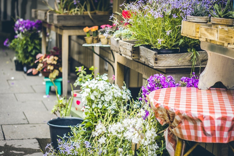 Flower shops in Danang city, Vietnam