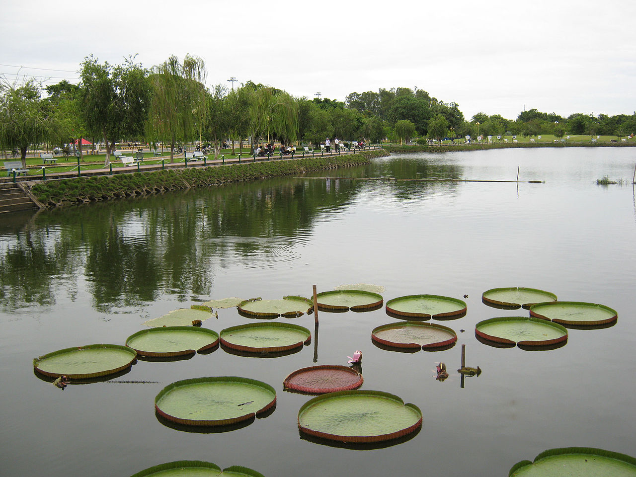 Van Thanh Park in Ho Chi Minh city