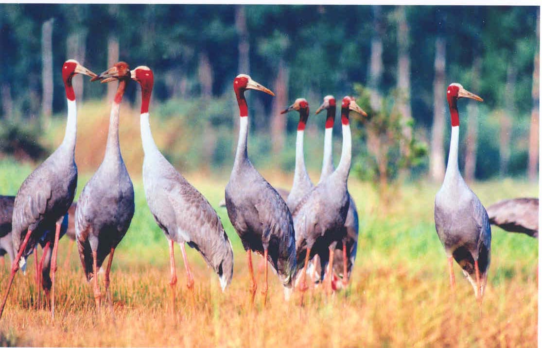 Cuc Phuong National Park- a must visit place