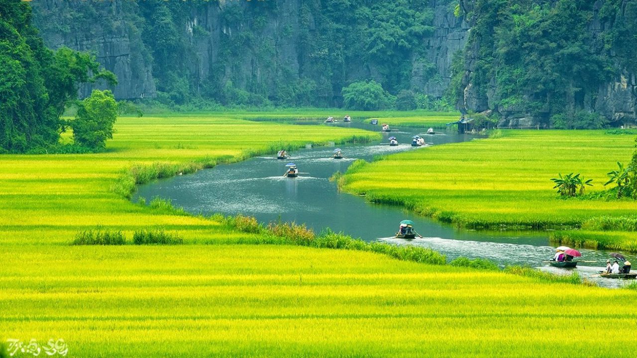 Ngo Dong river – the beauty of nature  (Ninh Binh)