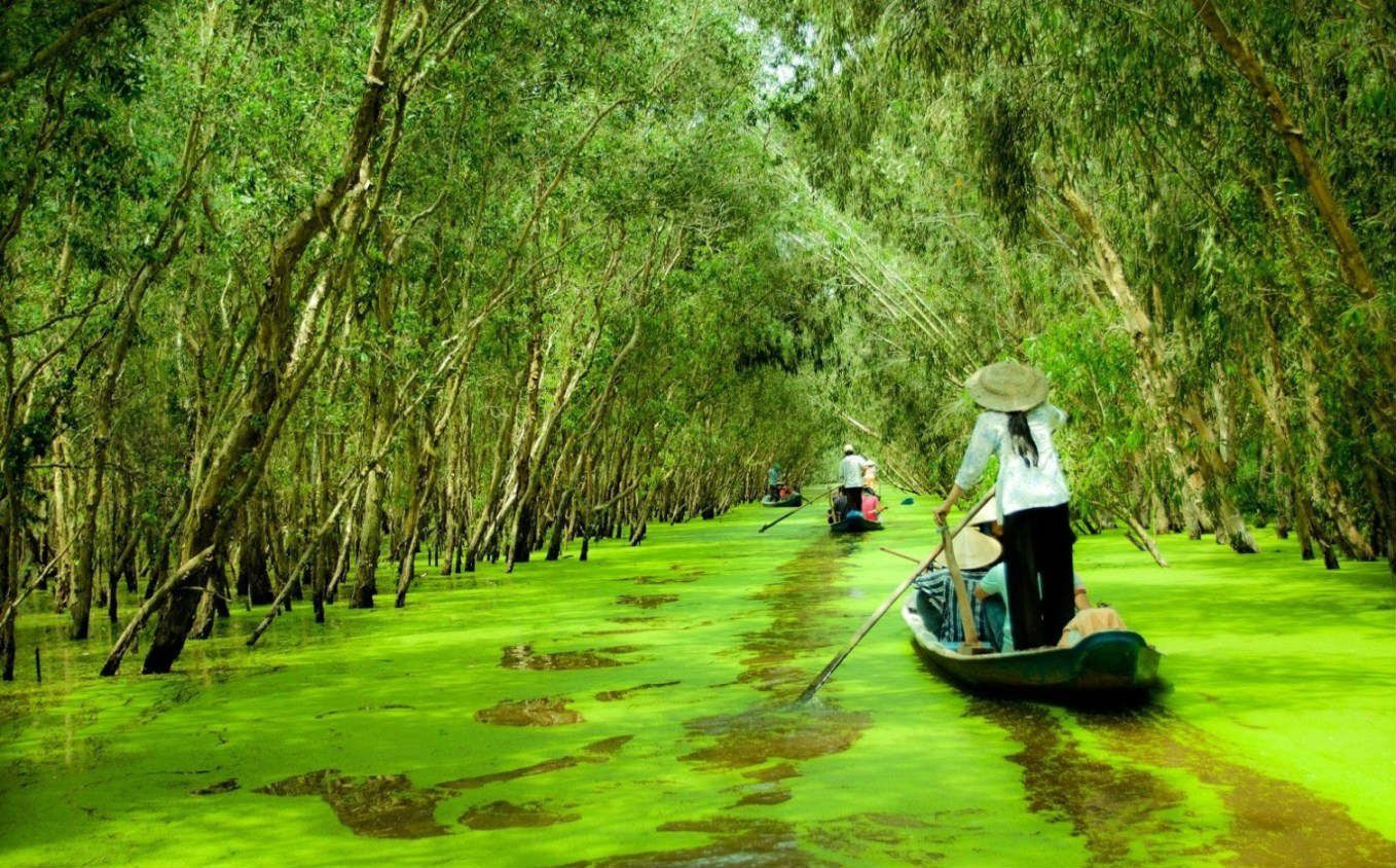 Tra Su Melaleuca Forest – Wonderful Landscape in Vietnam