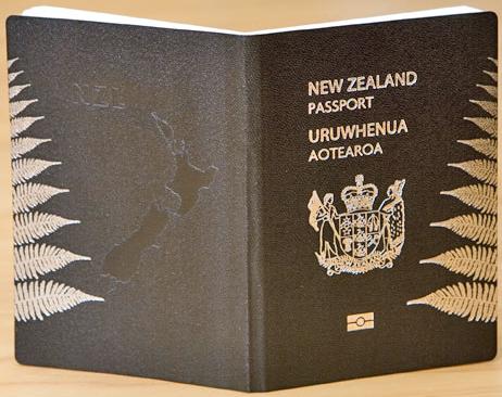 新西兰游客办理立即越南电子签证 2024