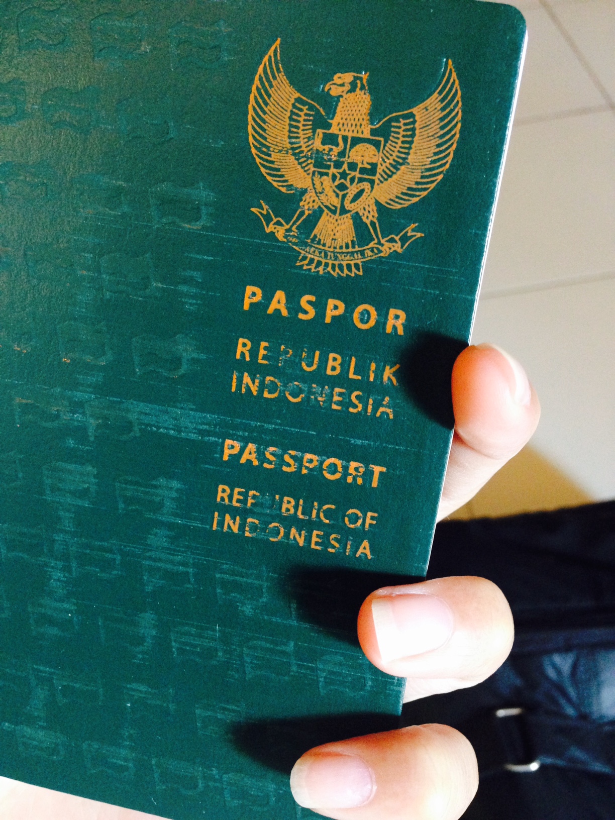 Vietnam Visa For Indonesian