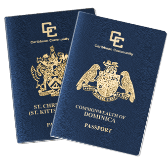 Can Dominica Citizens Apply E-visa (Electronic Visa) To Vietnam?