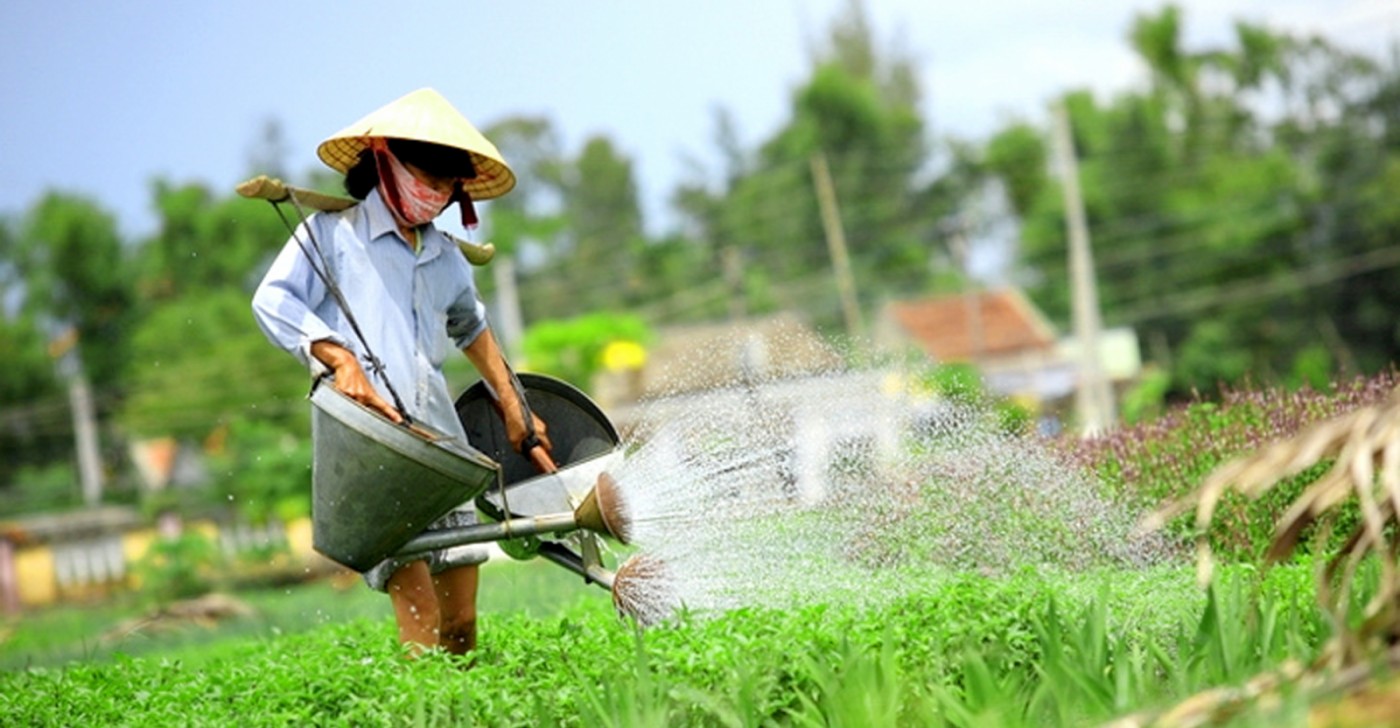 Great Experiences only in Hoi An Acient Town –  You should try it