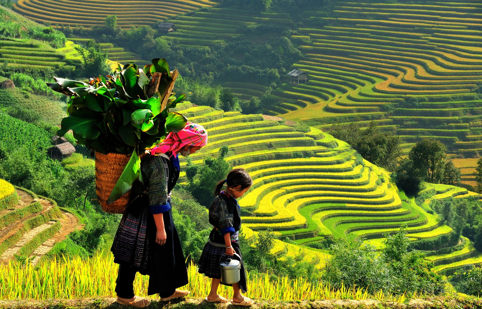 Interesting experiences at Mu Cang Chai