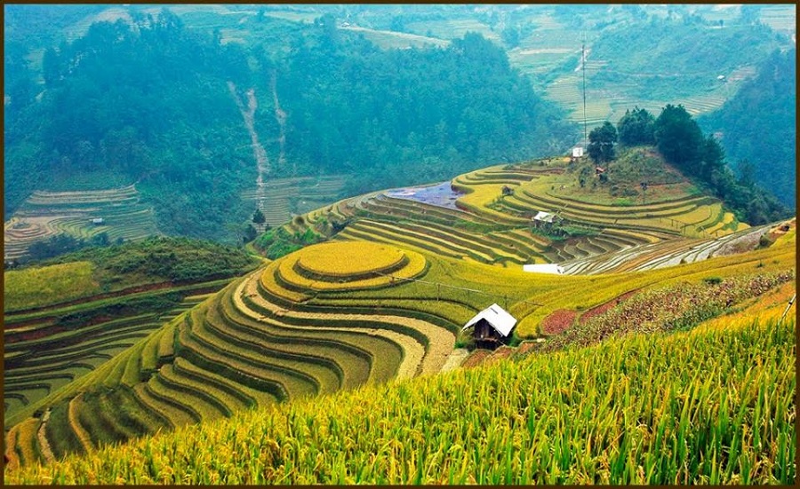 Mu Cang Chai – Great Destination in Northern Vietnam