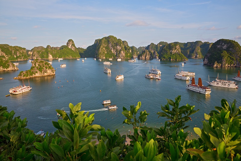 Get Vietnam Visa During Tet Holiday 2019 (Lunar New Year 2019)