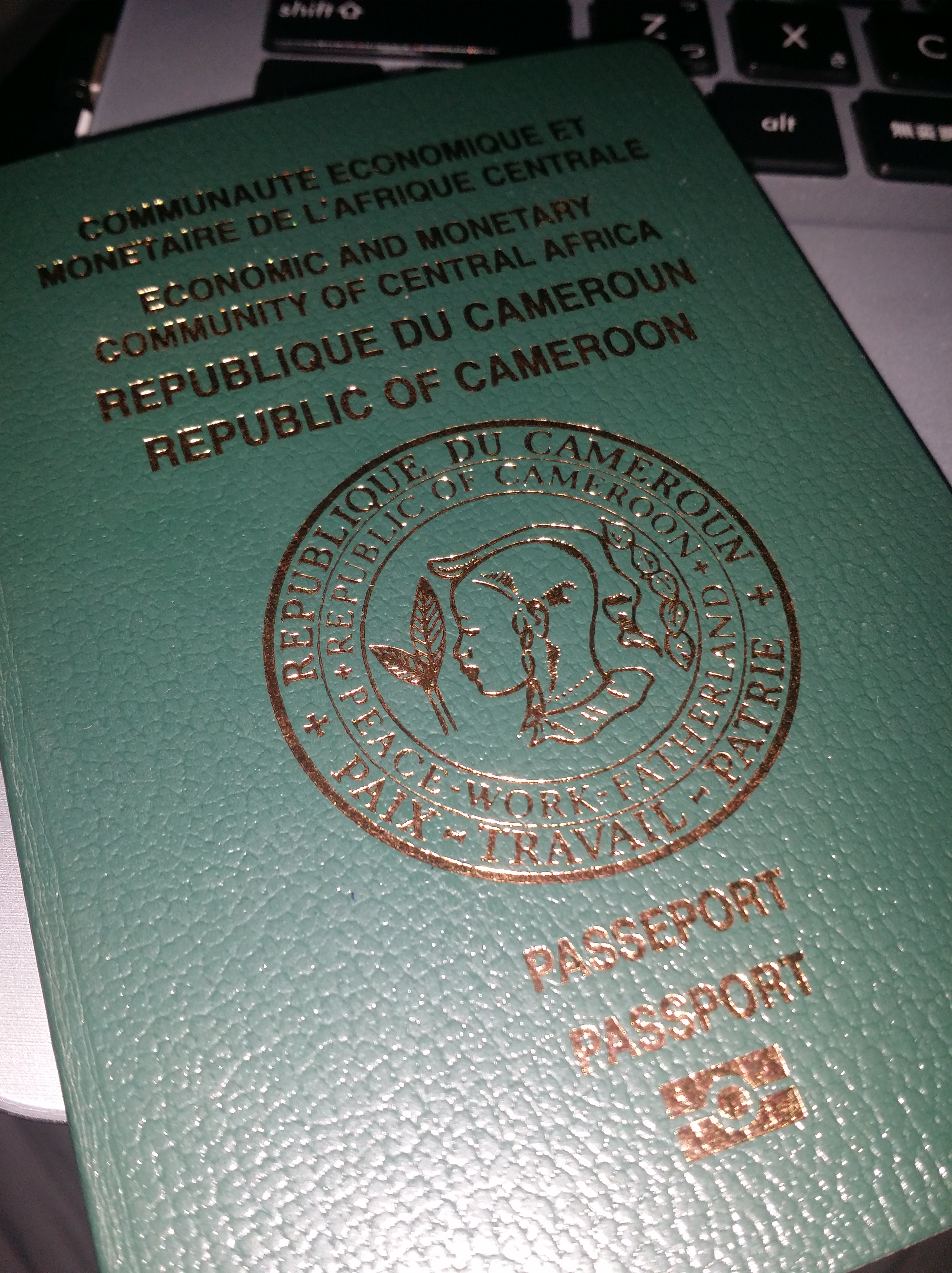 Which Visa Agent In Cameroon Is Professional For Applying Vietnam Visa?