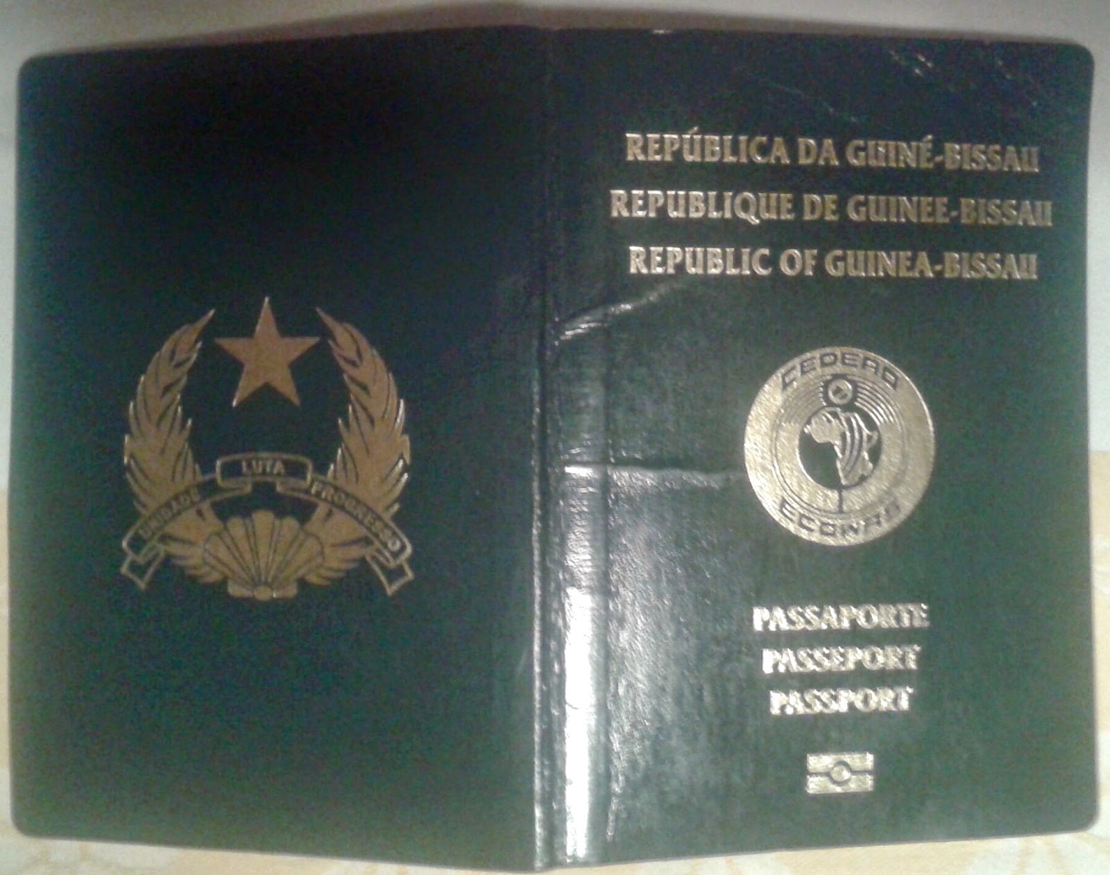 Can Guinea-Bissau Citizens Apply E-visa (Electronic Visa) To Vietnam?