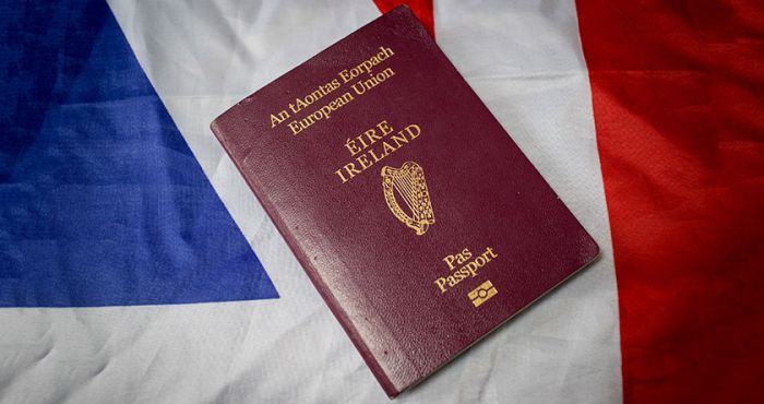 Vietnam eVisa for Ireland Passport 2024 –  Detailed Instructions for Obtaining a Vietnam E-Visa for Holders of Irish Passport