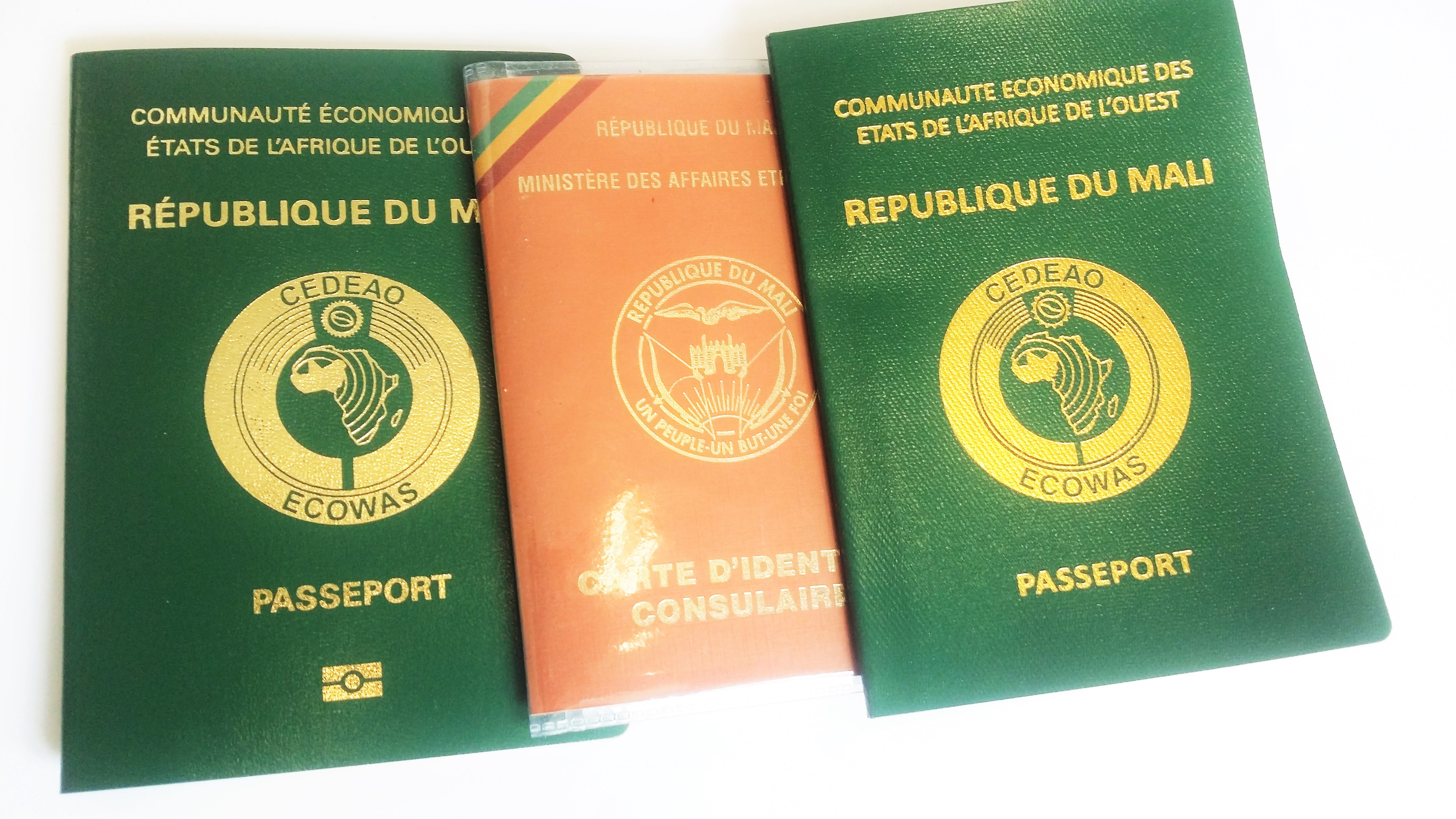 Can Mali Citizens Apply Online E-visa (Electronic Visa) To Vietnam?