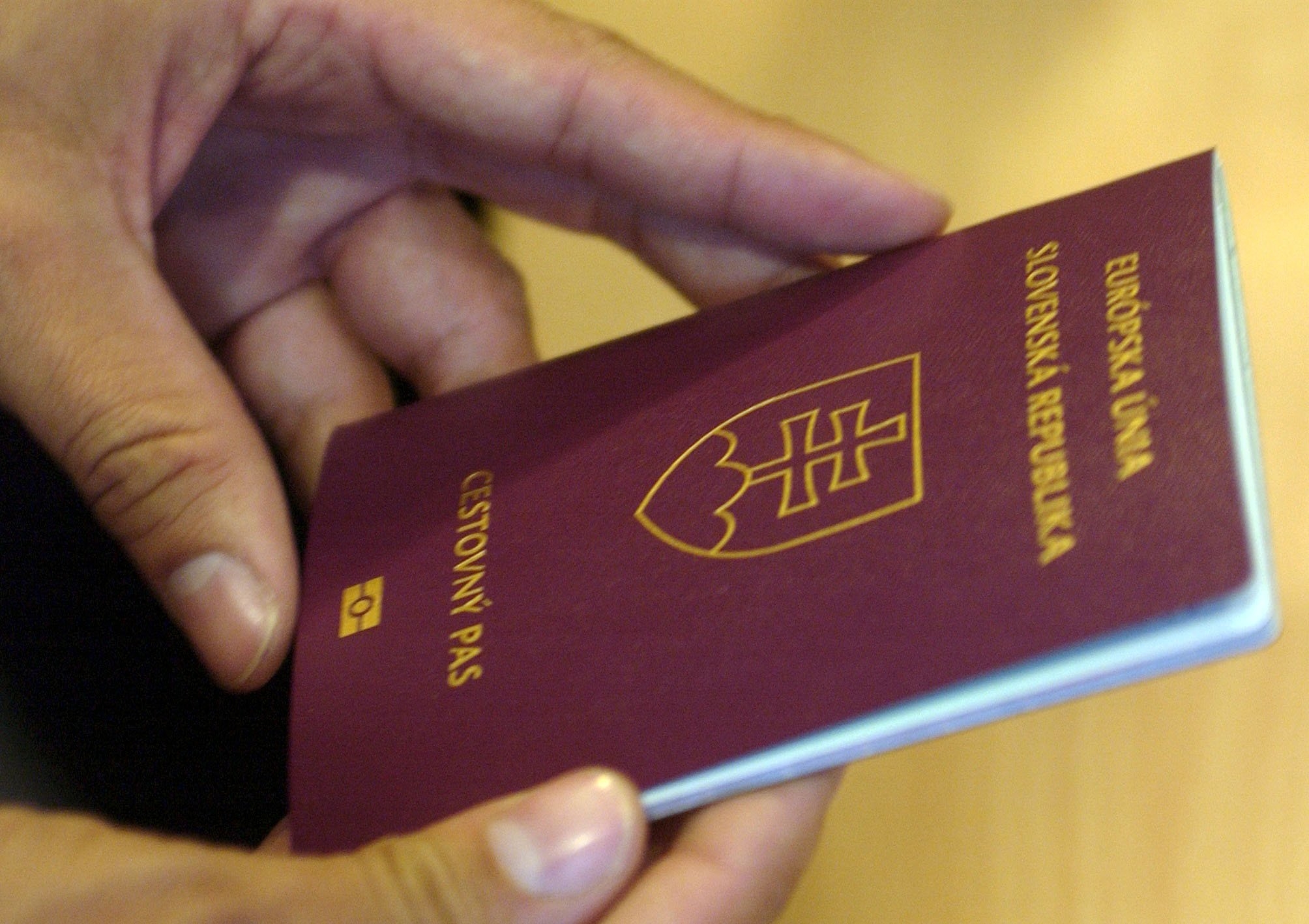 斯洛伐克人申请越南电子签证所需文件、入境地点、有效期和程序2024