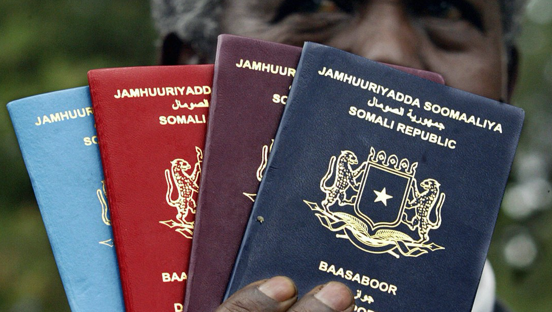 Can Somalia Citizens Apply Online E-visa (Electronic Visa) To Vietnam?