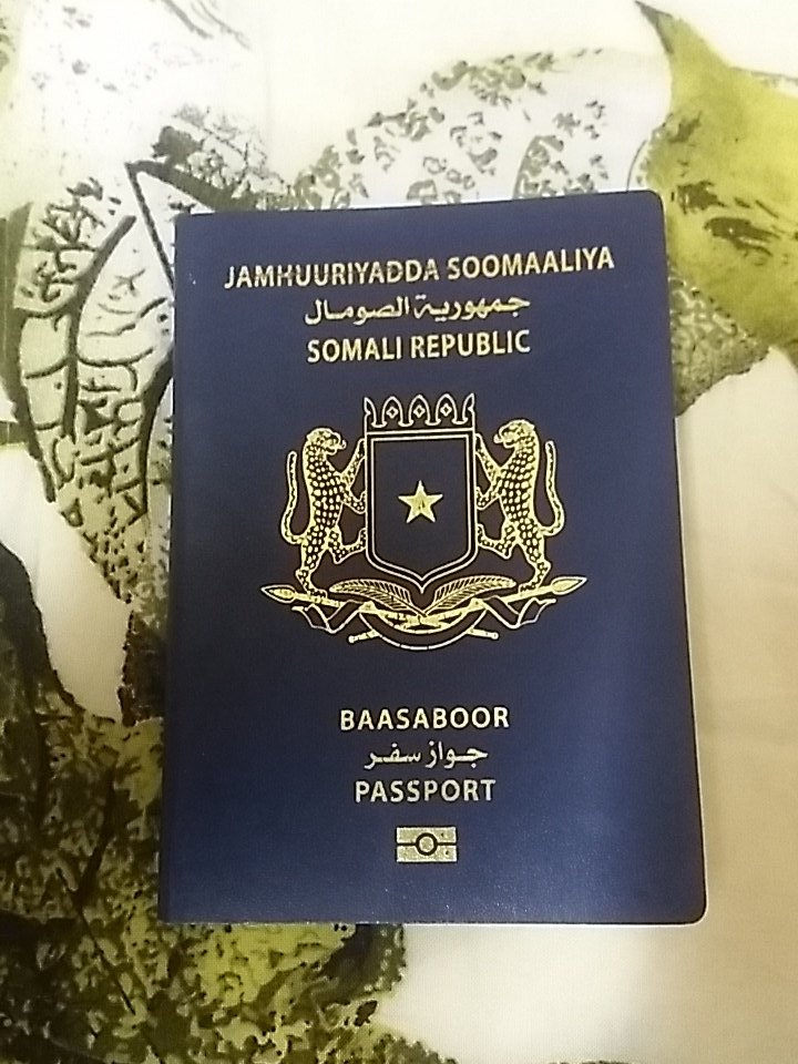 [Vietnam Visa Requirements 2024] Somalia Citizens Applying Vietnam Visa Need To Know | Visa Exemption, Visa Validity, Documents, Processing Time, Procedures, How To Apply