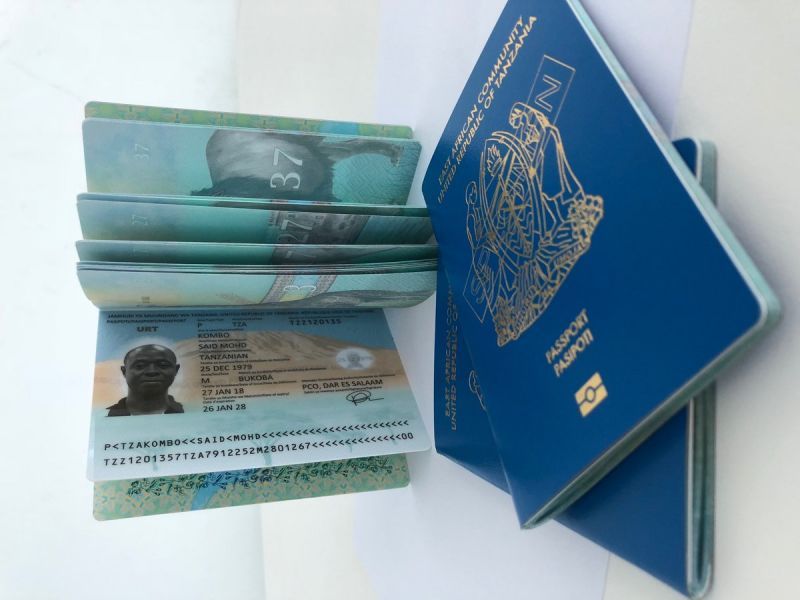 [Vietnam Visa Fee 2023] Total Vietnam Visa Price For Tanzania Citizens? Visa On Arrival Procedures