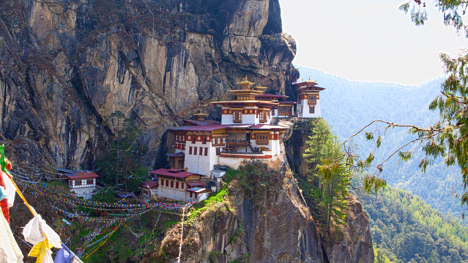 The Latest Information About Vietnamese Embassy In Bhutan (Address, Website, Telephone) Updated 2024