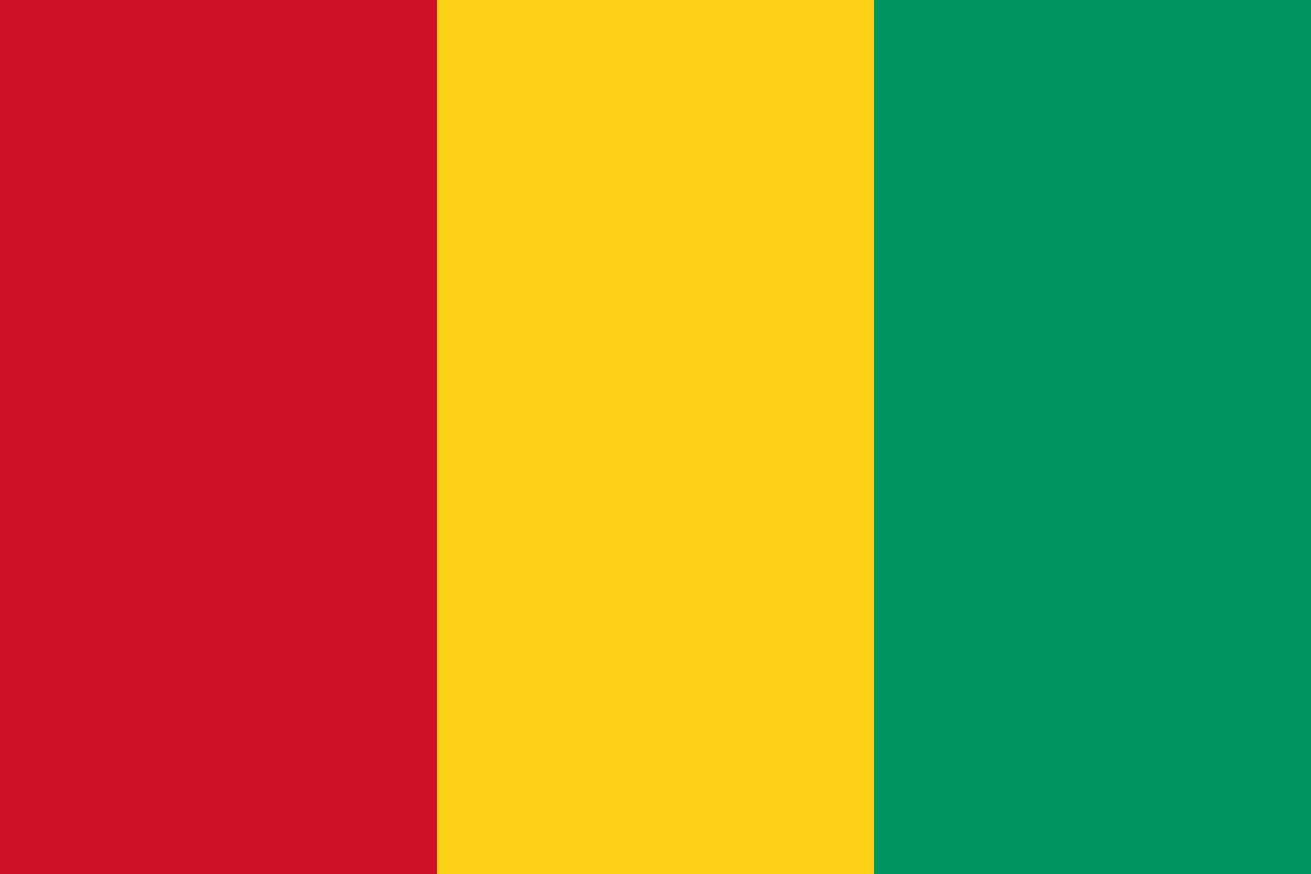 Can Guinea Citizens Apply E-visa (Electronic Visa) To Vietnam?