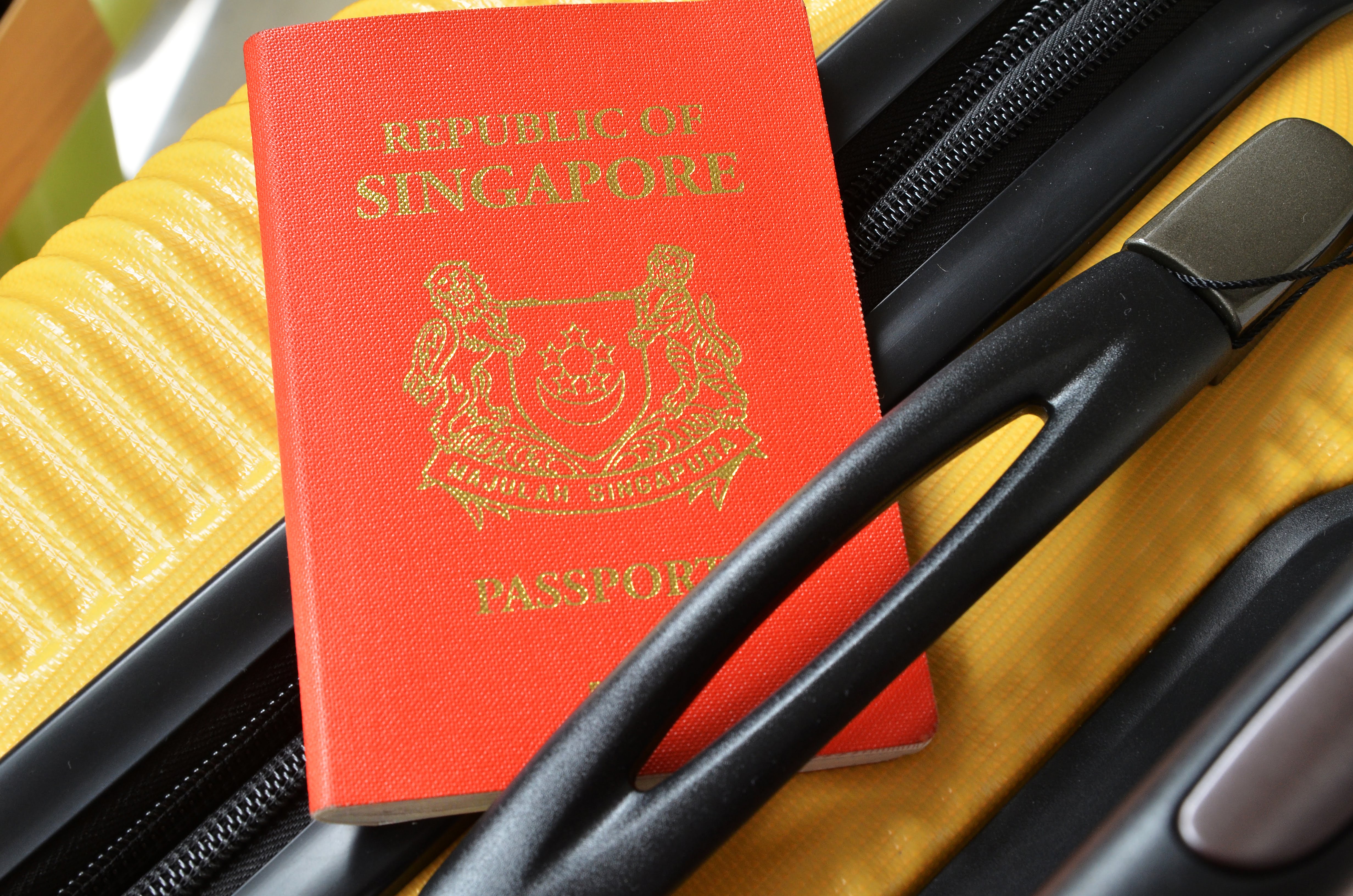 How Singaporeans Can Obtain a Three-Month Tourist E-Visa to Vietnam in 2024: Requirements and Procedure