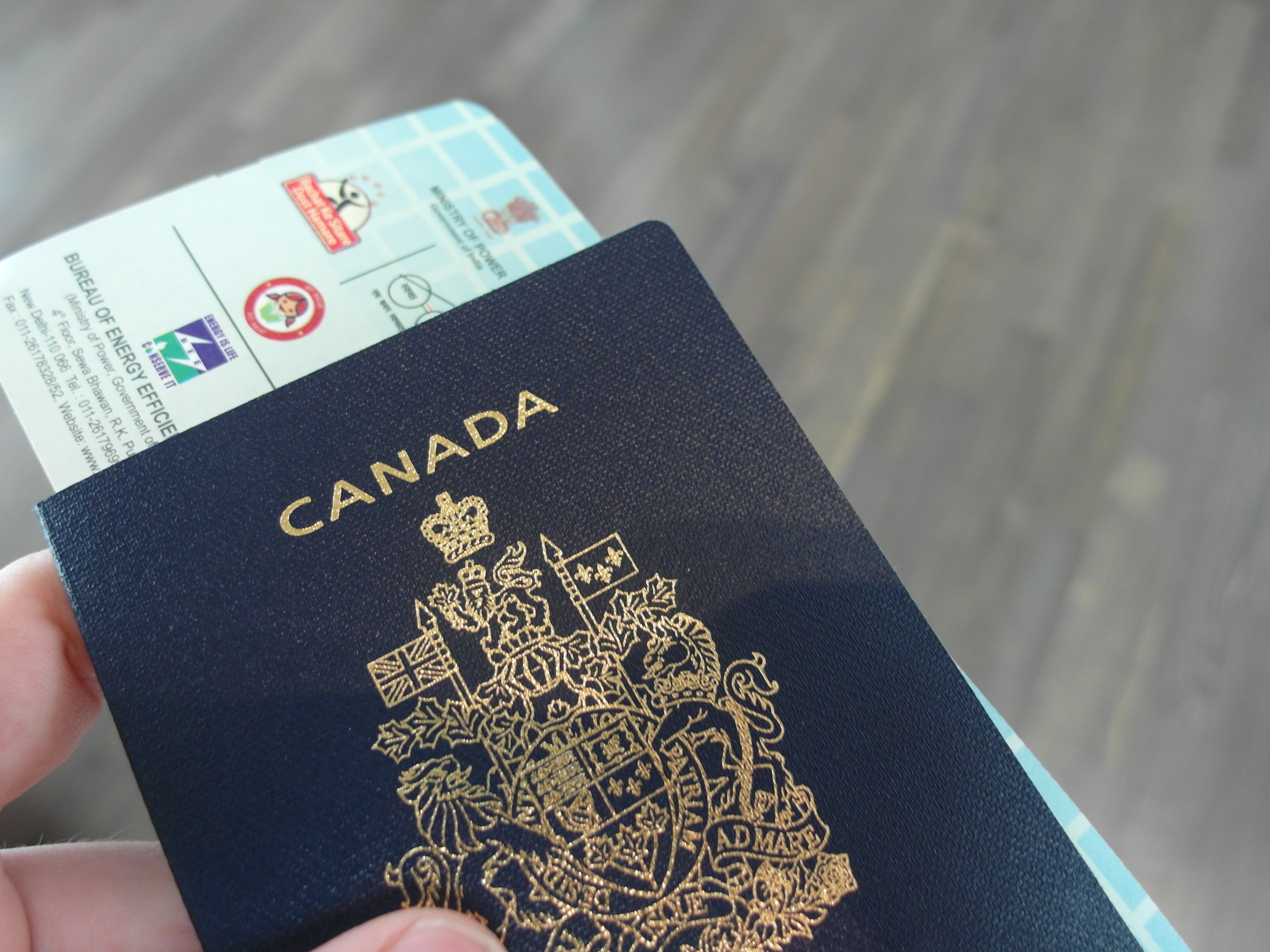 Guidelines for Canadians Applying for a Vietnam Travel Visa in 2024