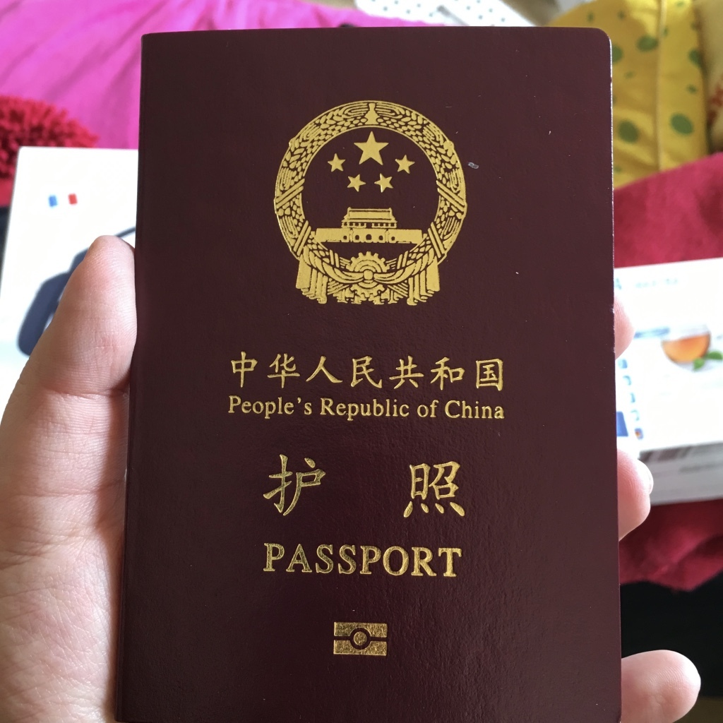 【越南签证2024】 中国人为工作目的的越南商务签证 – 越南落地签证