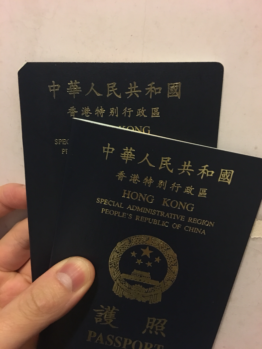 【香港人的越南電子簽證飛往內排機場 2024】香港公民如何申請越南電子簽證進入內排機場