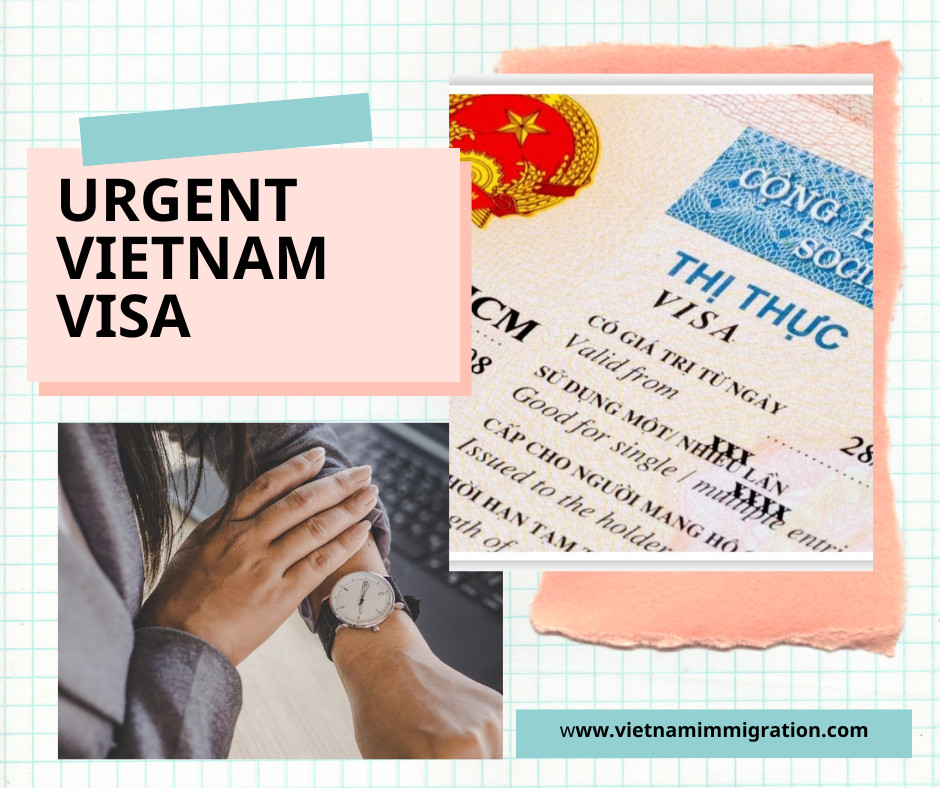 【安道尔人紧急办理越南电子签证2024】安道尔人如何快速获得越南电子签证?