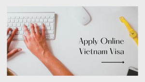 apply for vietnam tourist visa online